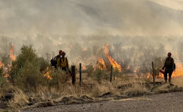 Gordon Declares Fire Emergency as Red Canyon Blaze Tops 100,000 Acres