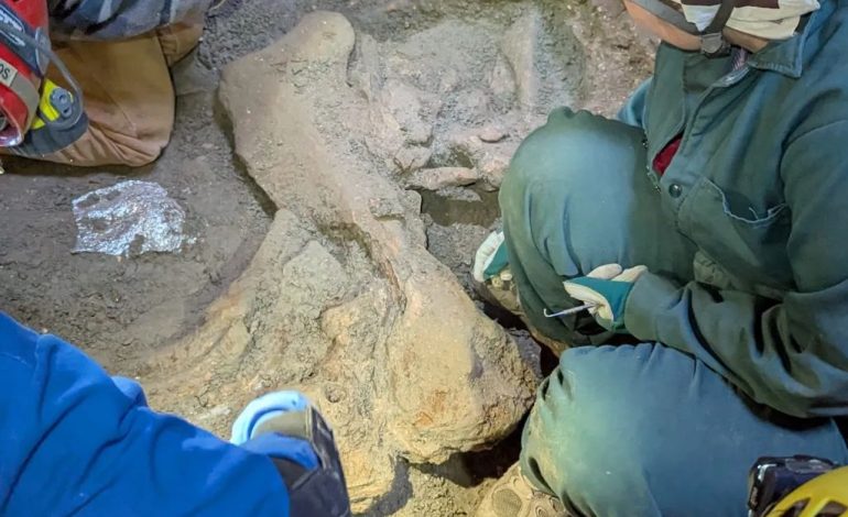 Mammoth Surprise at Natural Trap Cave: Ice Age giant turns up in Bighorn Basin pit