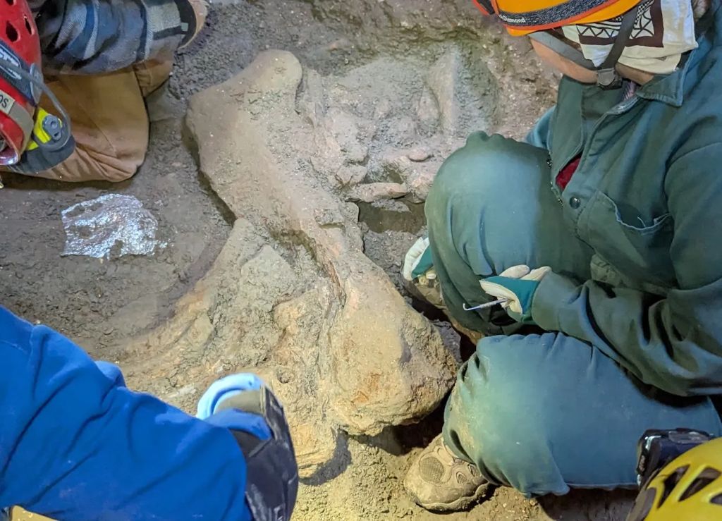 Mammoth Surprise at Natural Trap Cave: Ice Age giant turns up in Bighorn Basin pit
