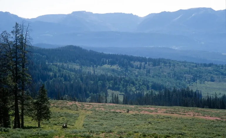 “Keep the Roads Out”: Why So Many Wyomingites Are Fighting to Save the Roadless Rule