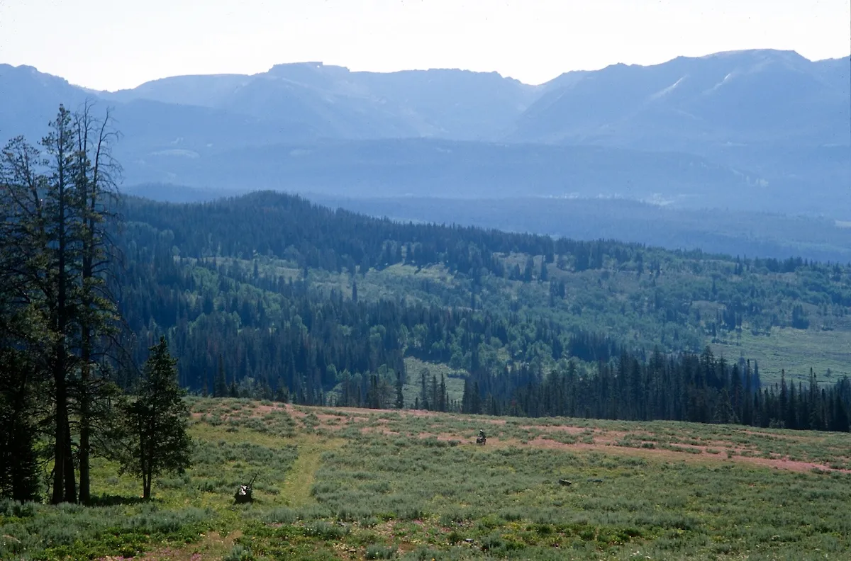“Keep the Roads Out”: Why So Many Wyomingites Are Fighting to Save the Roadless Rule