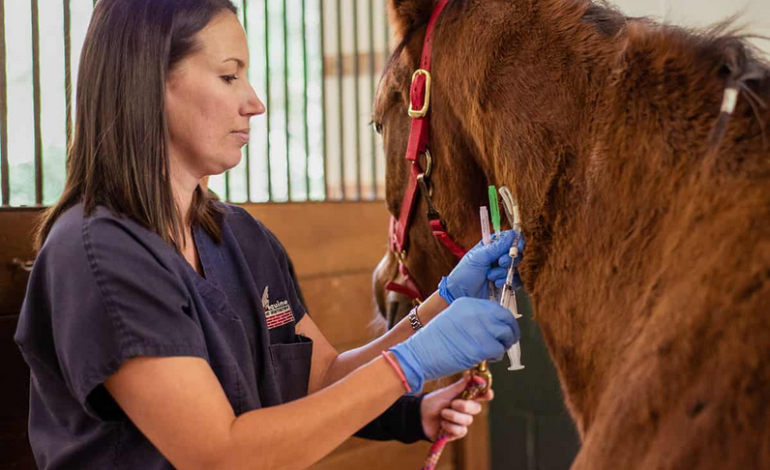 Wyoming Lawmakers Pass on Vet Tech Licensing Bill—for Now