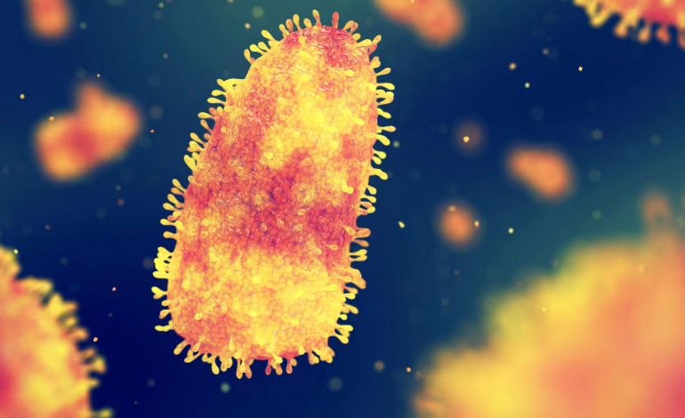 Rabies watch: CDC eyes 14 potential outbreaks in 20 states—what that really means