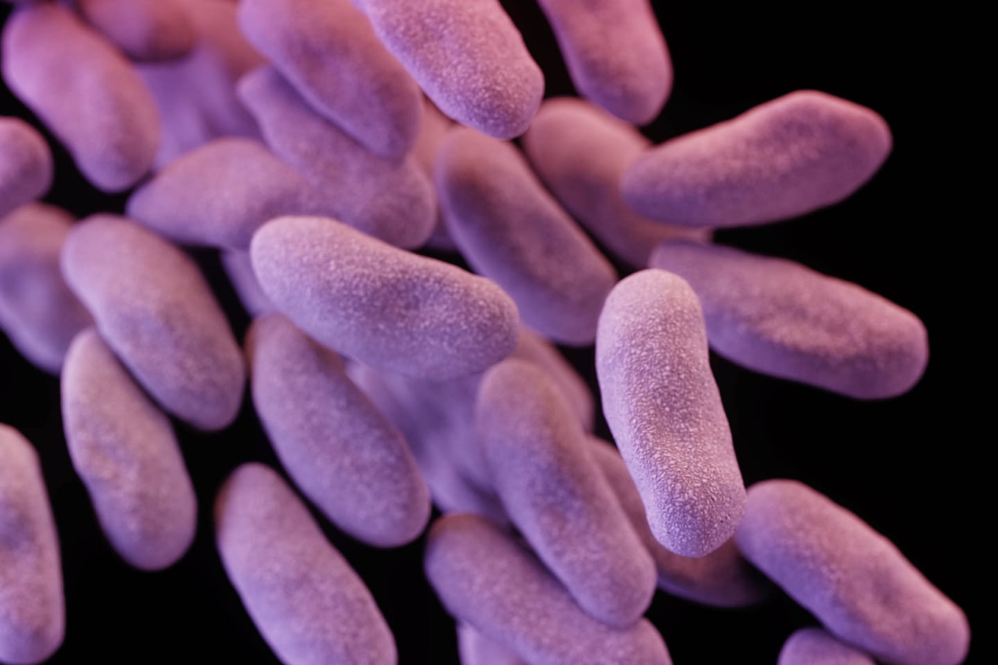 America’s “nightmare bacteria” are surging—and the hardest-to-treat strain is spreading fast
