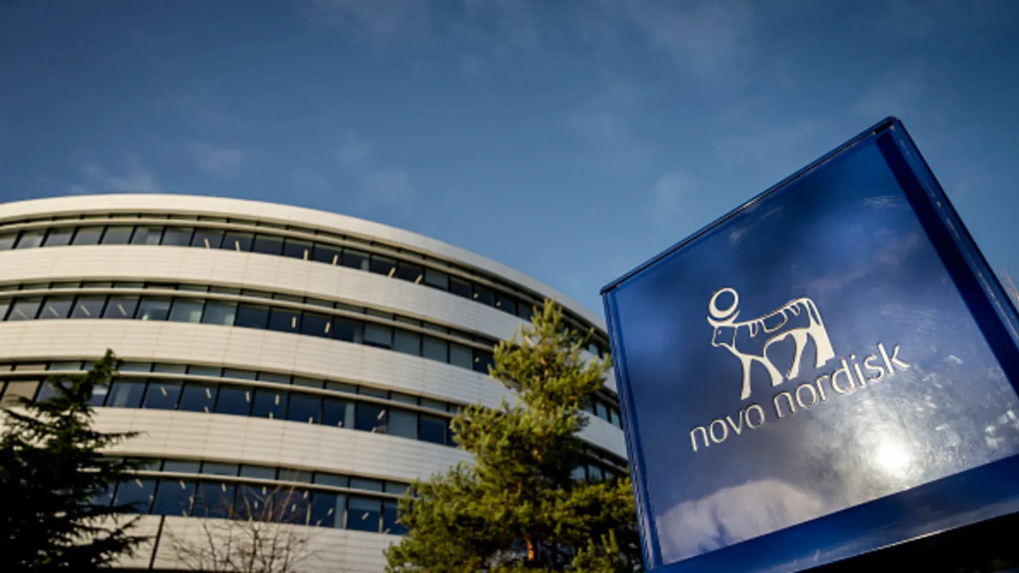 Novo Nordisk Board Implodes as Foundation Moves to Install its own Chair