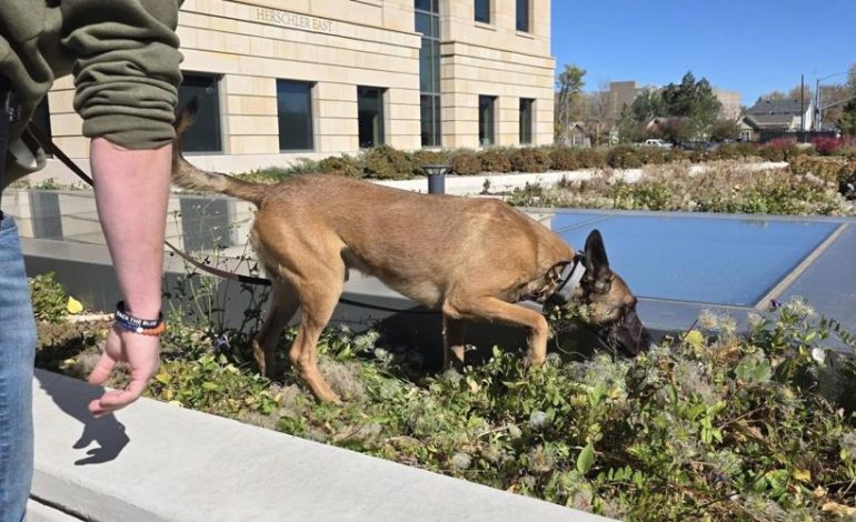 WHP: Pedestrian Found Suspected IED on Capitol Steps — Carried it inside; Building Evacuated, Reopens Wednesday