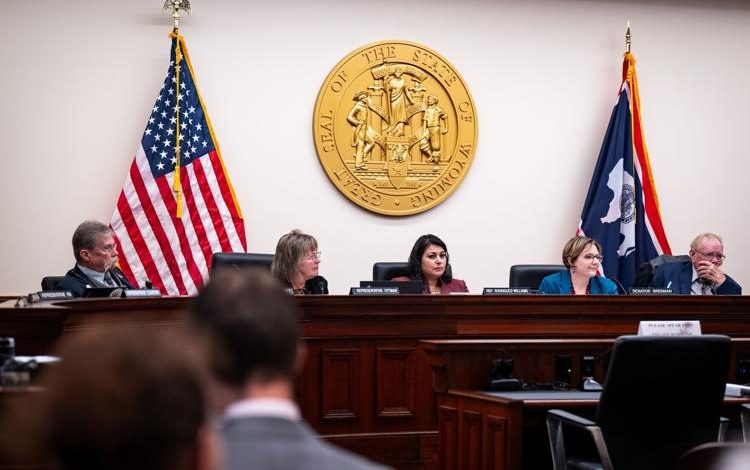 Wyoming’s “CARE Act” for Pregnancy Centers Clears First Hurdle, Setting up a Hot Fight Next Session