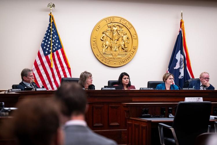Wyoming’s “CARE Act” for Pregnancy Centers Clears First Hurdle, Setting up a Hot Fight Next Session