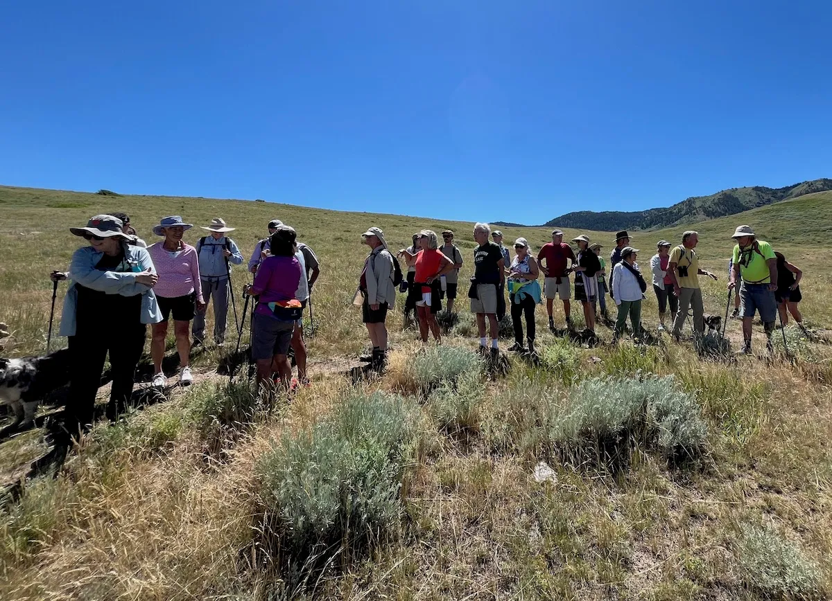 County Roadblocks Tip the Scales: Wyoming Land Board Nixes Casper Mountain Gravel Pit Extension
