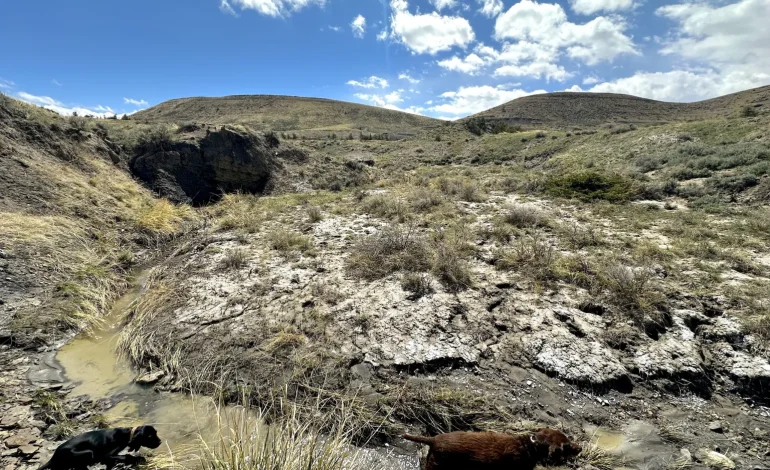 Wyoming OKs 75-Year Shooting Complex Lease — No Formal Wildlife Review, No Hard Safeguards