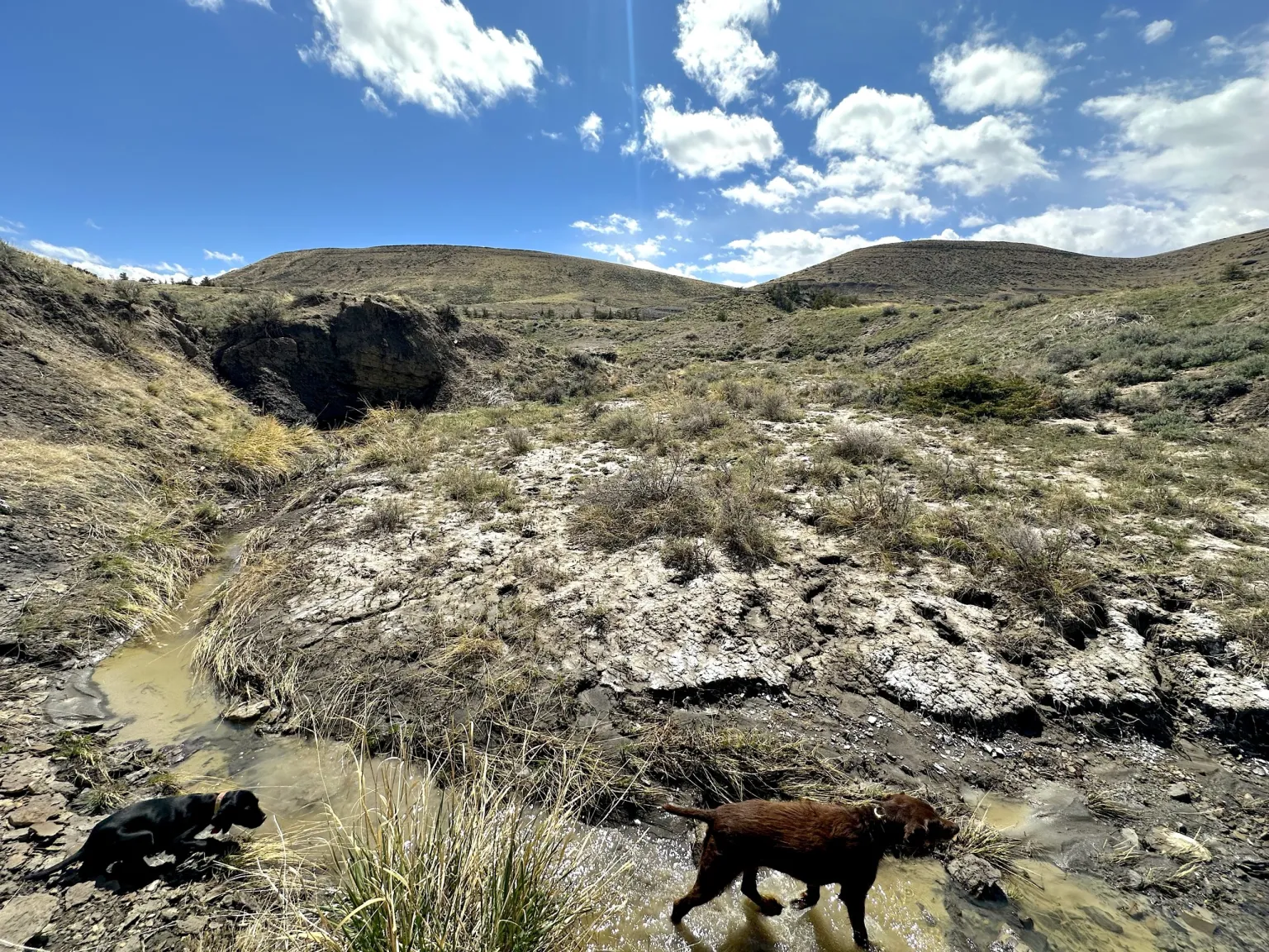 Wyoming OKs 75-Year Shooting Complex Lease — No Formal Wildlife Review, No Hard Safeguards
