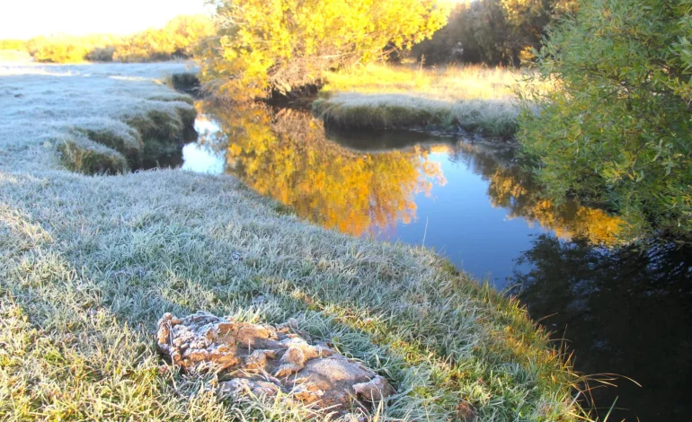 Wyoming Moves to Reclassify Wind River Stream, Easing E. coli Limits — Critics Cry Foul