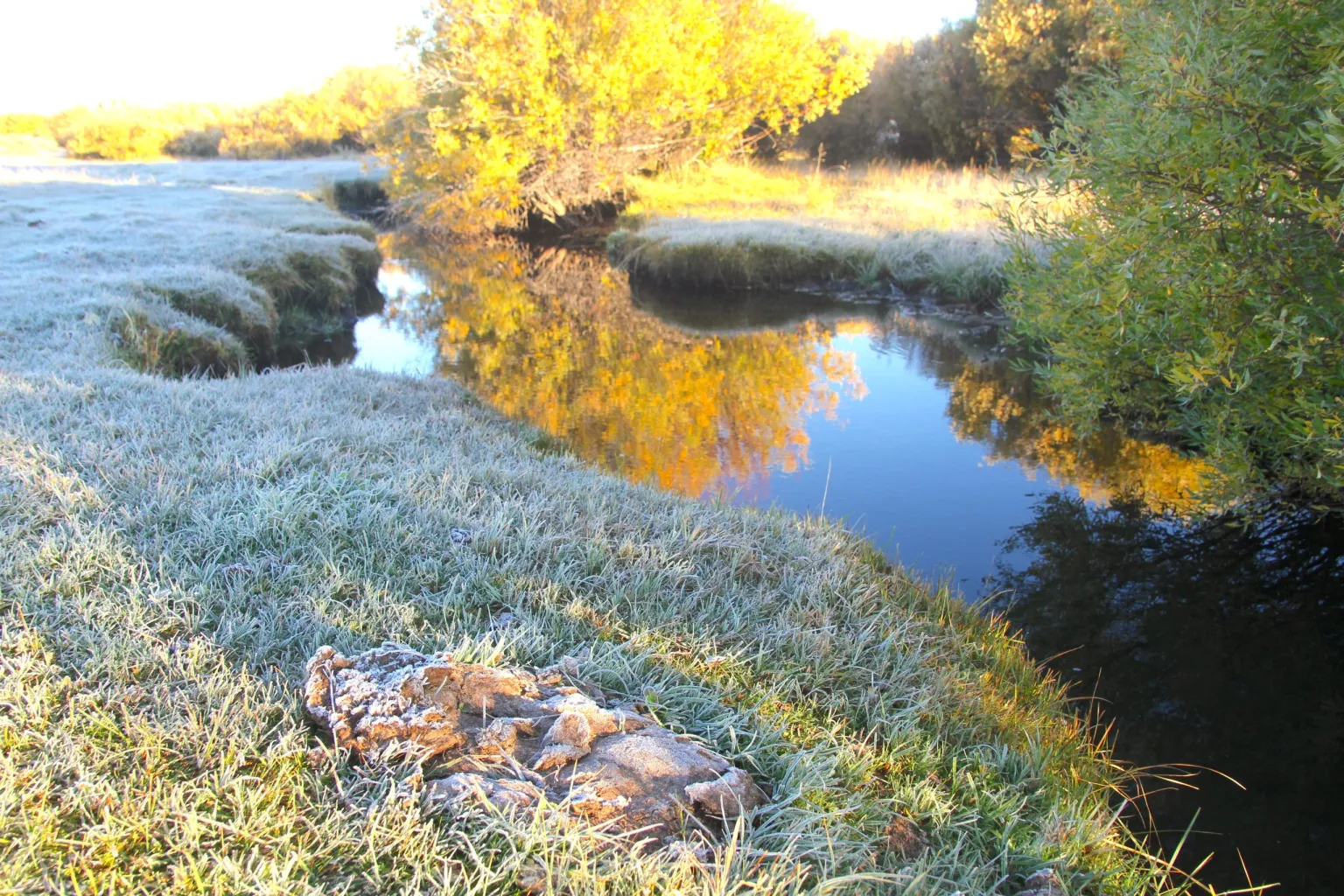 Wyoming Moves to Reclassify Wind River Stream, Easing E. coli Limits — Critics Cry Foul