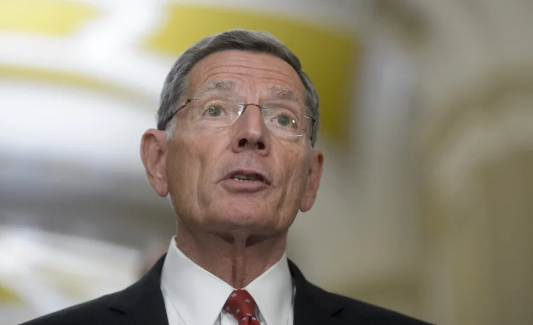 Lummis, Barrasso and Hageman move to nix Biden-era Buffalo land plan