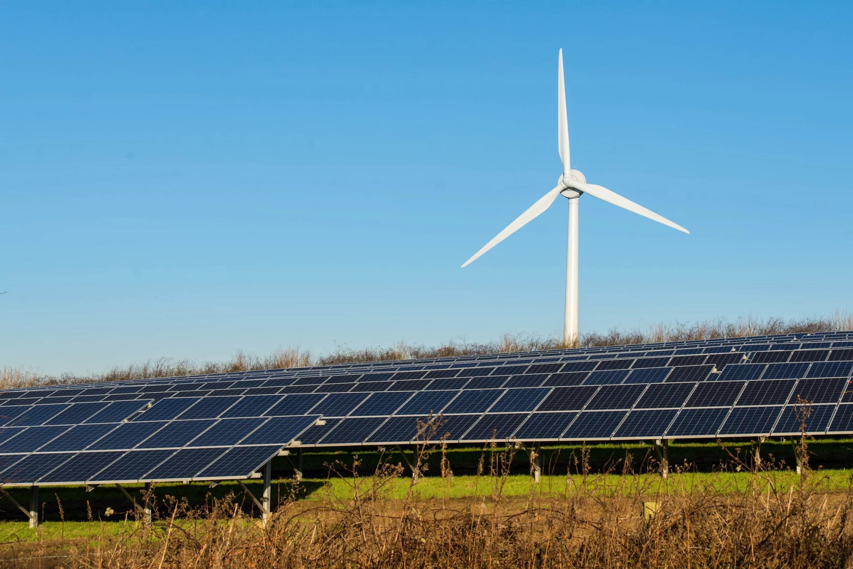 Wyoming, Montana Say Big Tech’s “Green” Claims Don’t Add Up