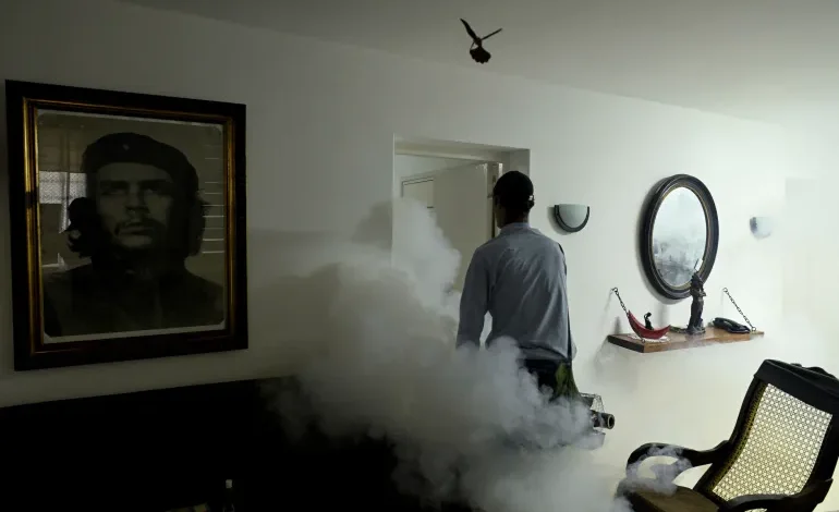 Cuba Faces Surge in Dengue and Chikungunya as Health System Strains Under Crisis