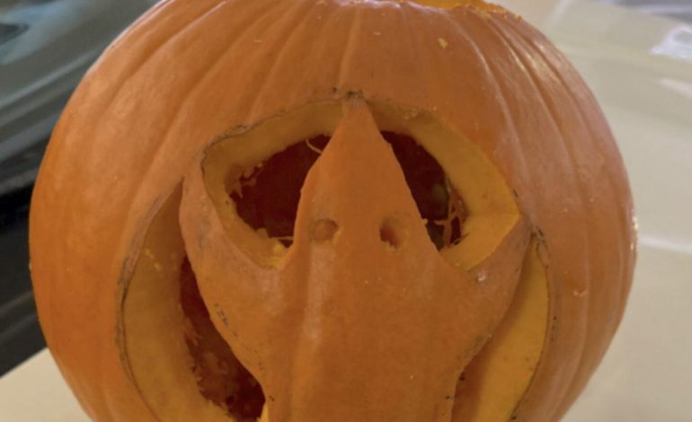 UW Probes Two Antisemitic Incidents After Swastika Pumpkins, Hate-Filled “Free Speech” Ball
