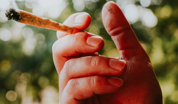 Busted with Weed in Wyoming? Why “I Didn’t Know” Won’t Fly