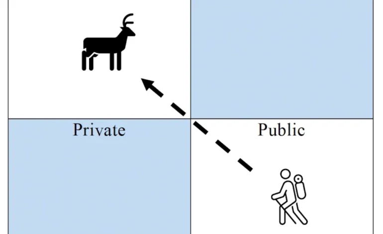 Stock growers pan Wyoming’s corner-crossing bill as hunters vow: “You don’t get to rewrite our win”