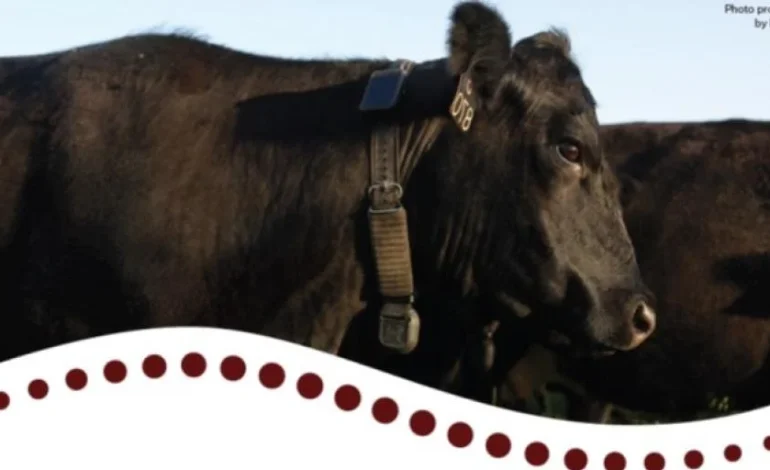 Wyoming Ranchers Invited to Learn About ‘Virtual Fences’ at Gillette Symposium