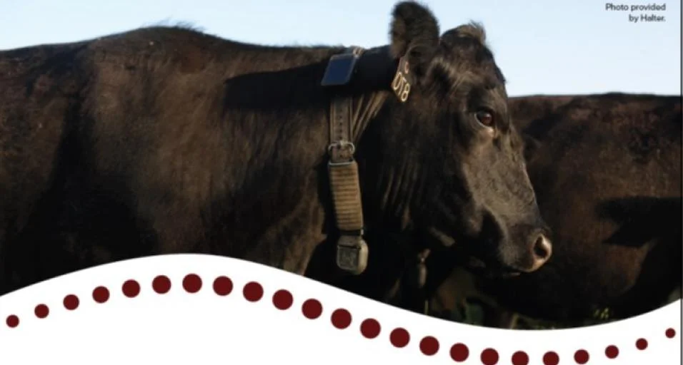 Wyoming Ranchers Invited to Learn About ‘Virtual Fences’ at Gillette Symposium