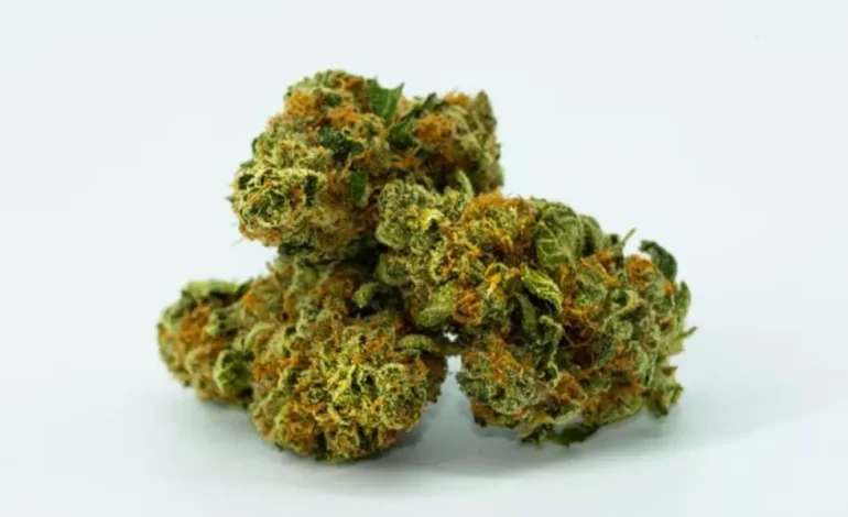 Feds Say ‘No Weed’ on Wyoming’s Parks and Public Lands, Crackdown Begins