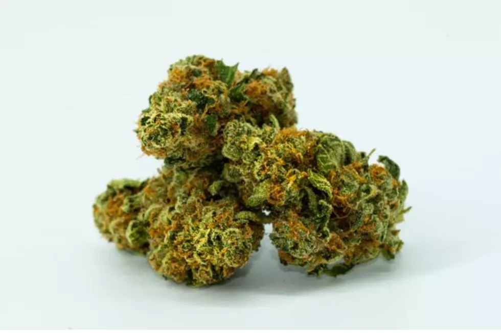 Feds Say ‘No Weed’ on Wyoming’s Parks and Public Lands, Crackdown Begins