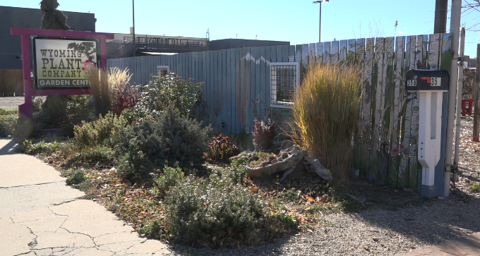 Casper Fence Turns Into Living Canvas Of Wyoming Wildlife