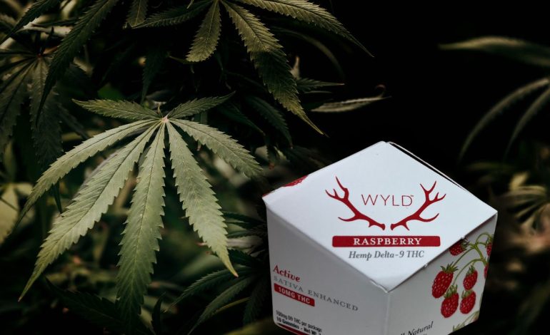 Wyoming Hemp Shops Hit From Both Sides After Delta-8 Court Loss and New DC Ban