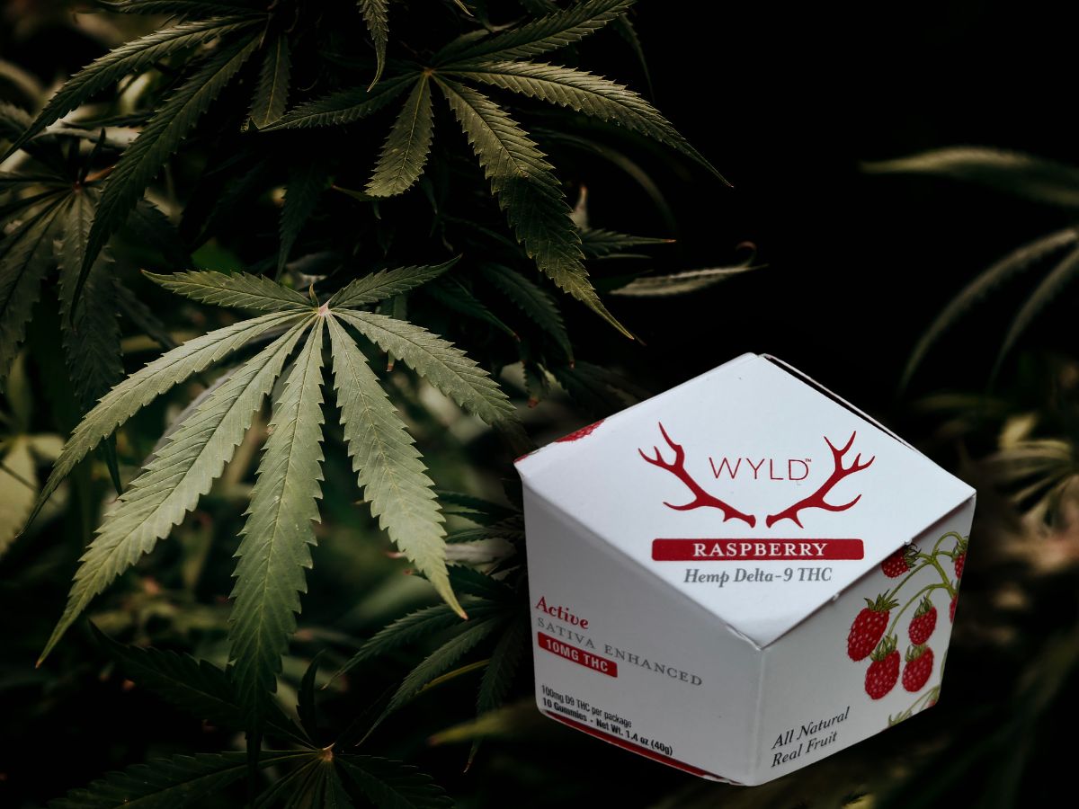 Wyoming Hemp Shops Hit From Both Sides After Delta-8 Court Loss and New DC Ban