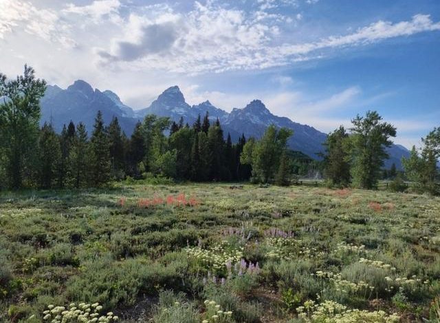 Foreign Tourists Hit With Steep New Fees To Visit US National Parks Next Year