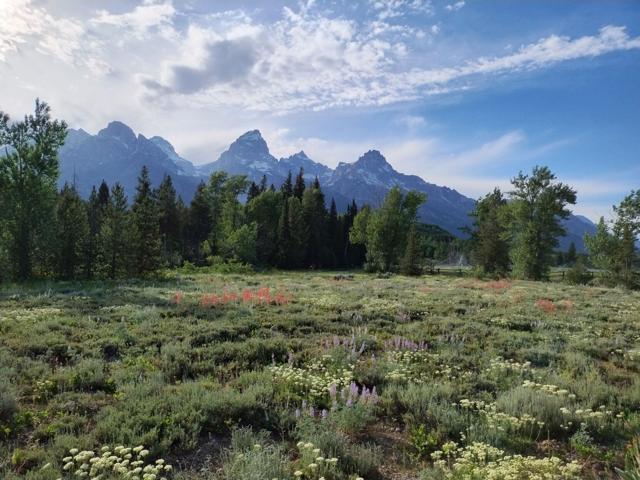 Foreign Tourists Hit With Steep New Fees To Visit US National Parks Next Year