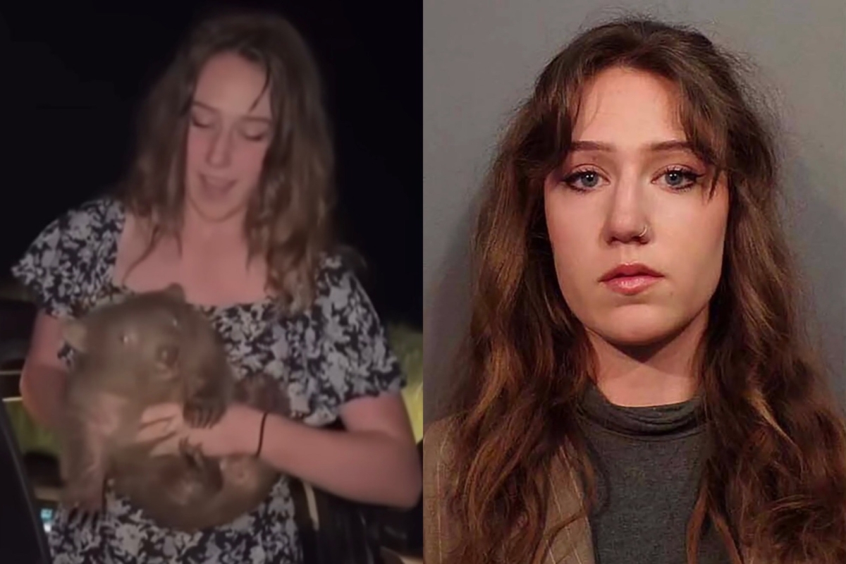 Influencer from viral wombat video now accused of illegal hunting in Wyoming