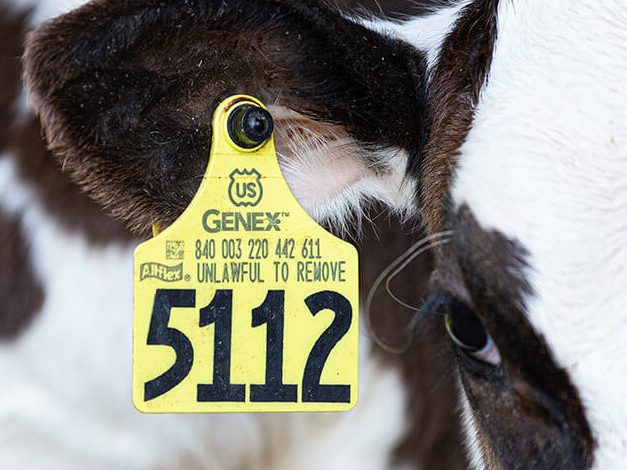 Wyoming Farm Bureau Sets New Policies On Livestock IDs, Wildfires, Water & More