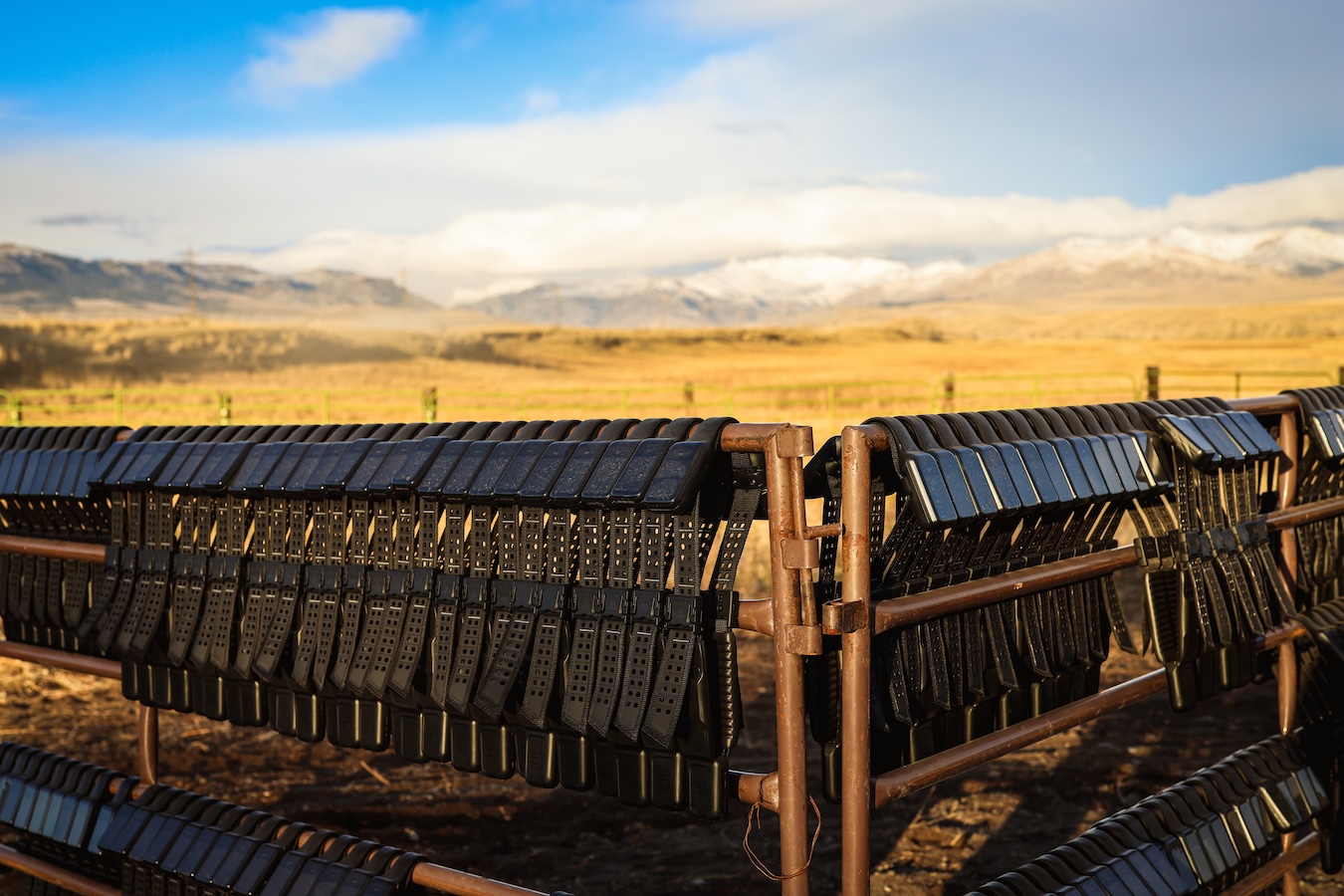 High-Tech ‘Virtual Fences’ Let Wyoming Cows Stay Put While Wildlife Roams Free