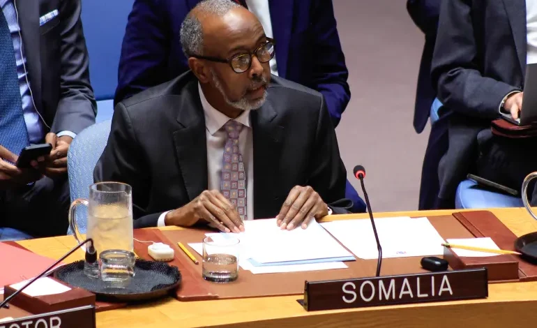 UN Security Council Rebukes Israel Over Somaliland Recognition, US Stands Apart