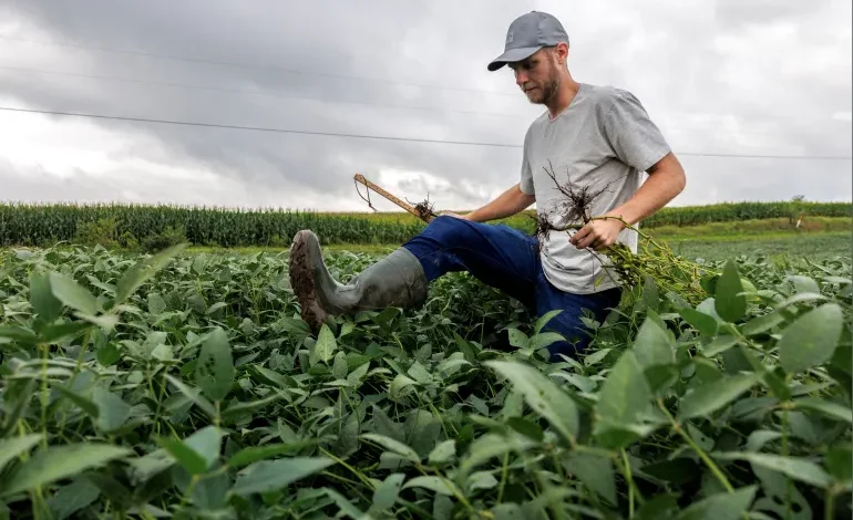 Trump unveils $12bn relief package for farmers hit by trade tariffs