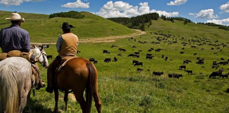 Wyoming’s farms are still mostly family-run — but the state sits mid-pack nationally