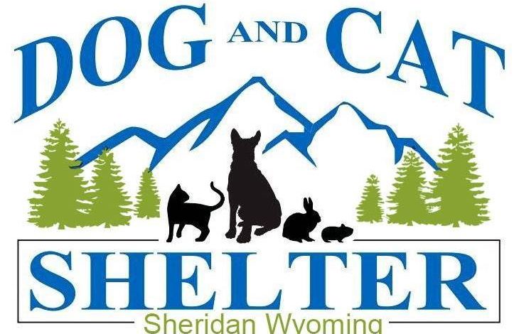 Sheridan shelter has a banner year – lots of pets found homes in 2025