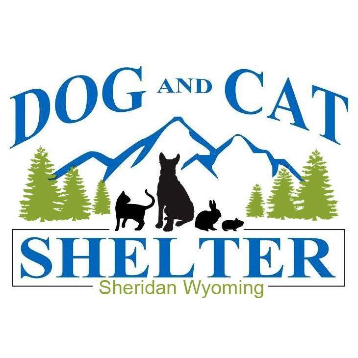 Sheridan shelter has a banner year – lots of pets found homes in 2025