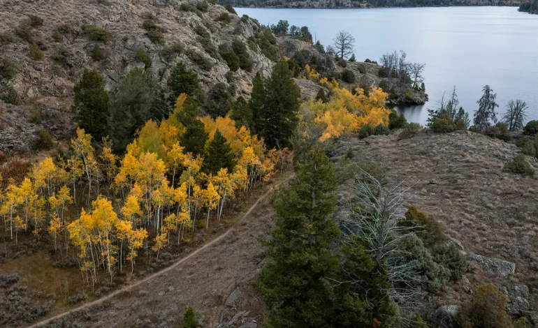 Short Staffed and Falling Apart: Forest Service Insiders Warn Trails Are on the Brink