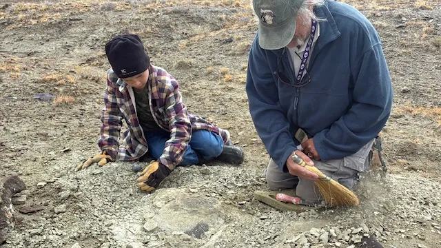 Wyoming Kid’s Rockhounding Trip Turns up a 48-Million-Year-Old Turtle