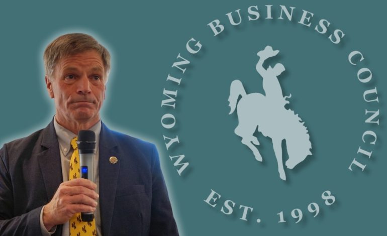 Wyoming Lawmakers Move to Shut Down Business Council, Sparking ‘Closed for Business’ Fears