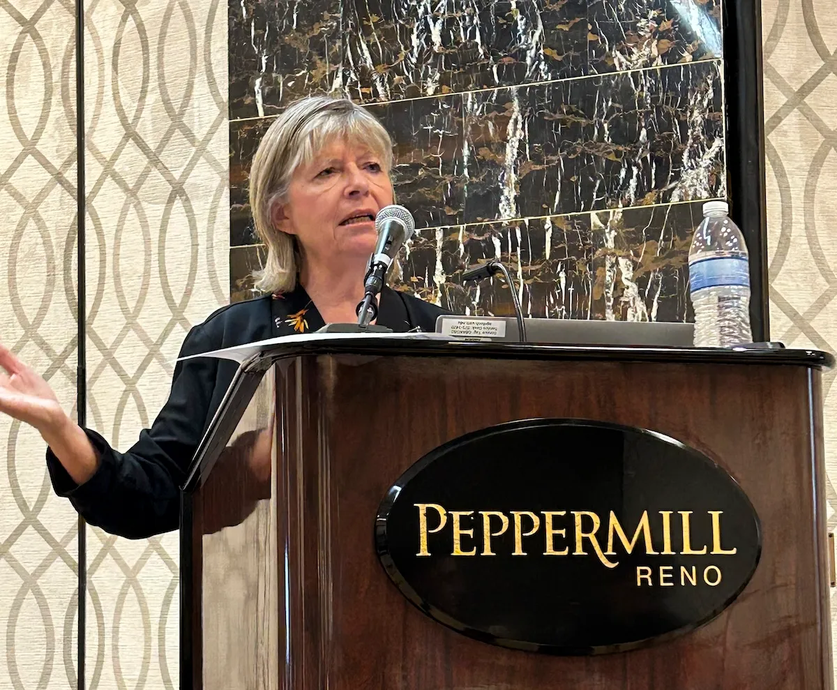 Lawmakers want feds to take a hard look at Karen Budd-Falen over lithium water deal