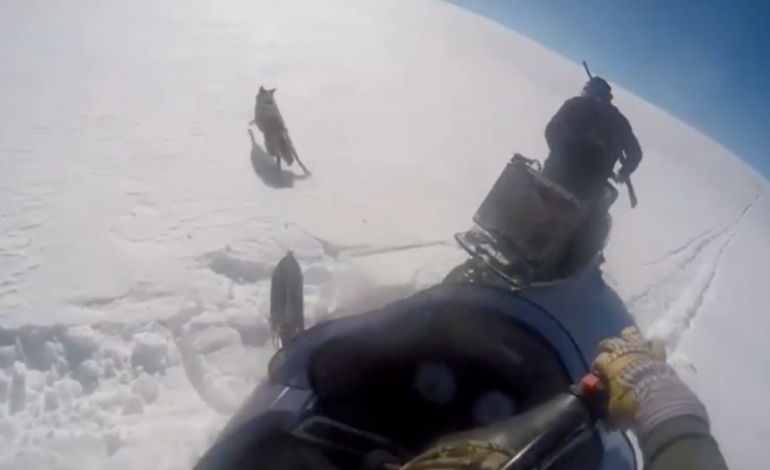 Fourth Attempt: Wyoming Lawmaker Again Seeks to Ban Snowmobile Wildlife Harassment