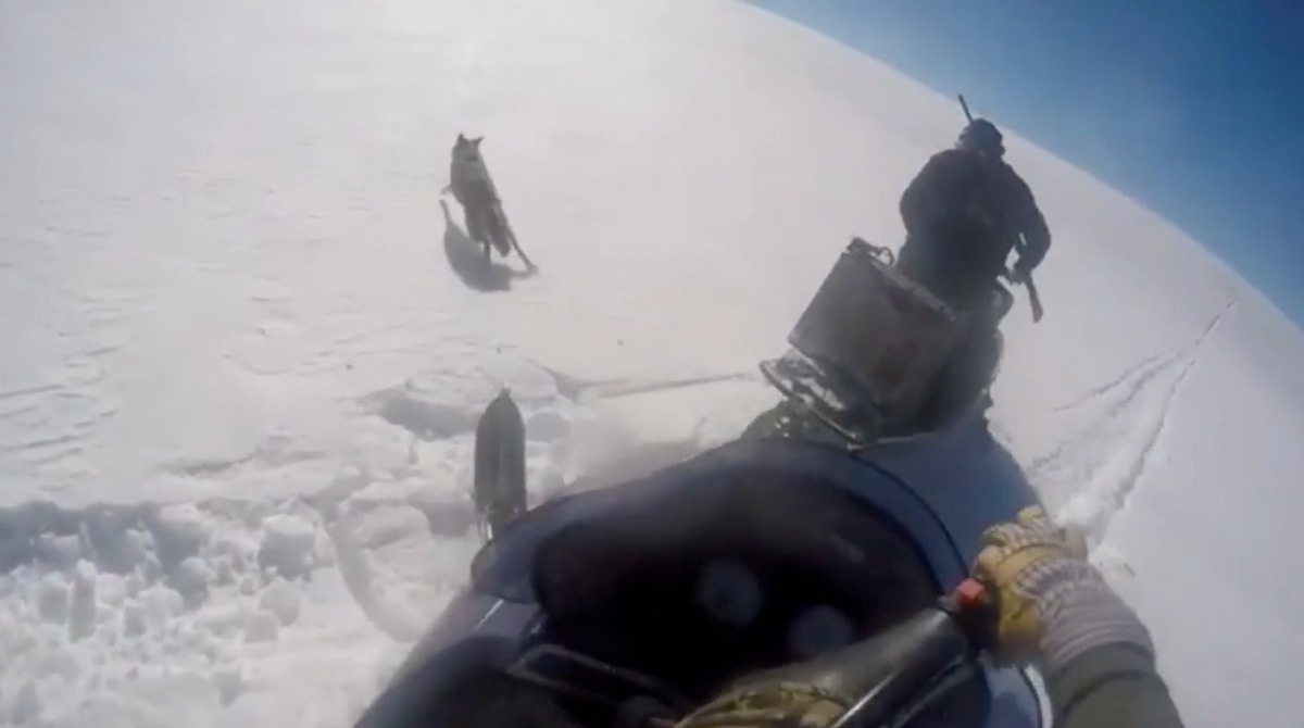 Fourth Attempt: Wyoming Lawmaker Again Seeks to Ban Snowmobile Wildlife Harassment
