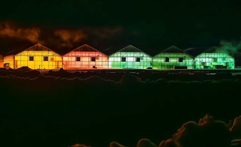 At 8,000 Feet, a Wyoming Greenhouse Operation Is Defying Altitude to Feed Its Community