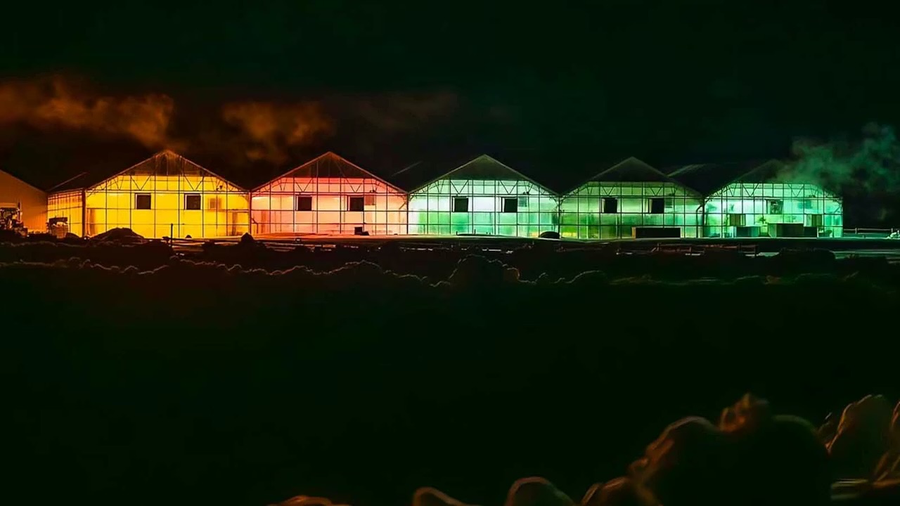 At 8,000 Feet, a Wyoming Greenhouse Operation Is Defying Altitude to Feed Its Community