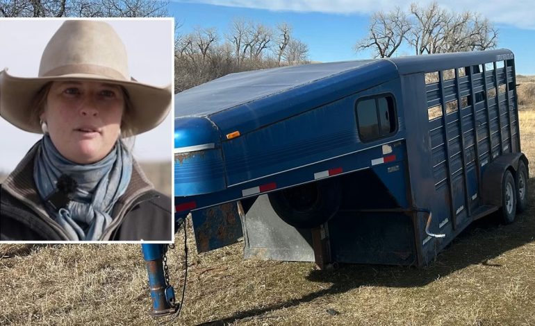 Montana Cowgirl Recovers Stolen Trailer, Vows Never to Stop Searching for Her Saddles