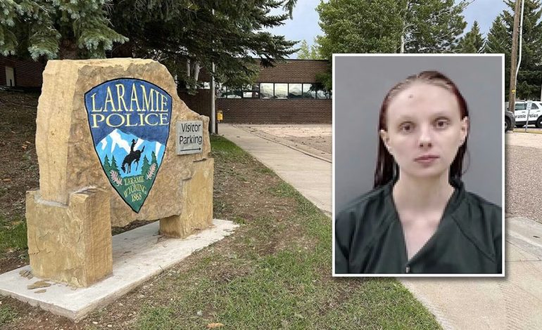 Laramie Woman Left Toddler Home Alone While Brawling at Bar, Police Say